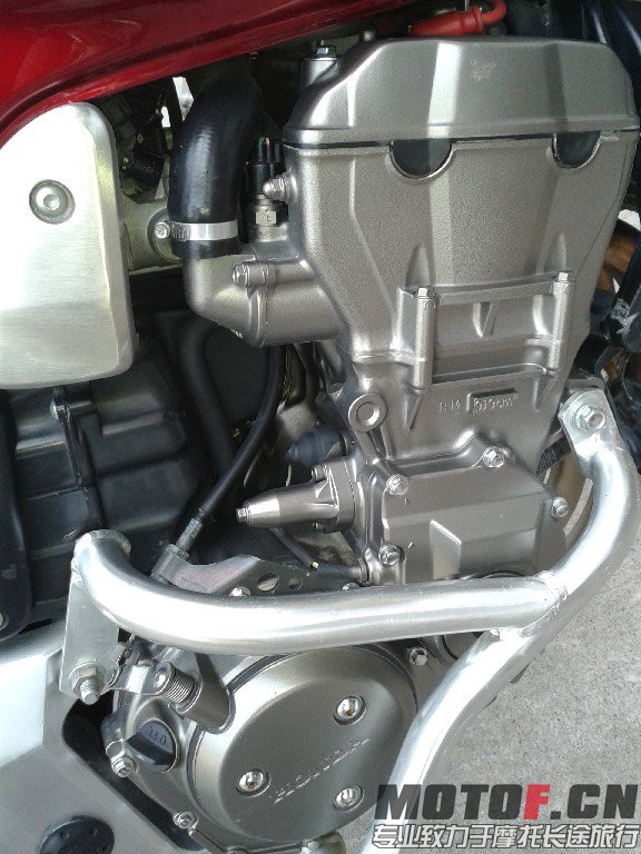 BigBull_20140119_130338.jpg