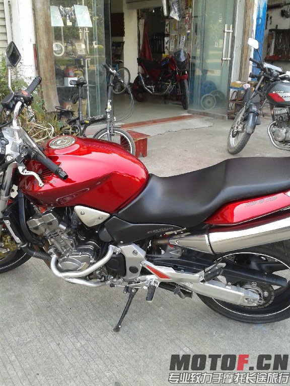 BigBull_20140121_123358.jpg