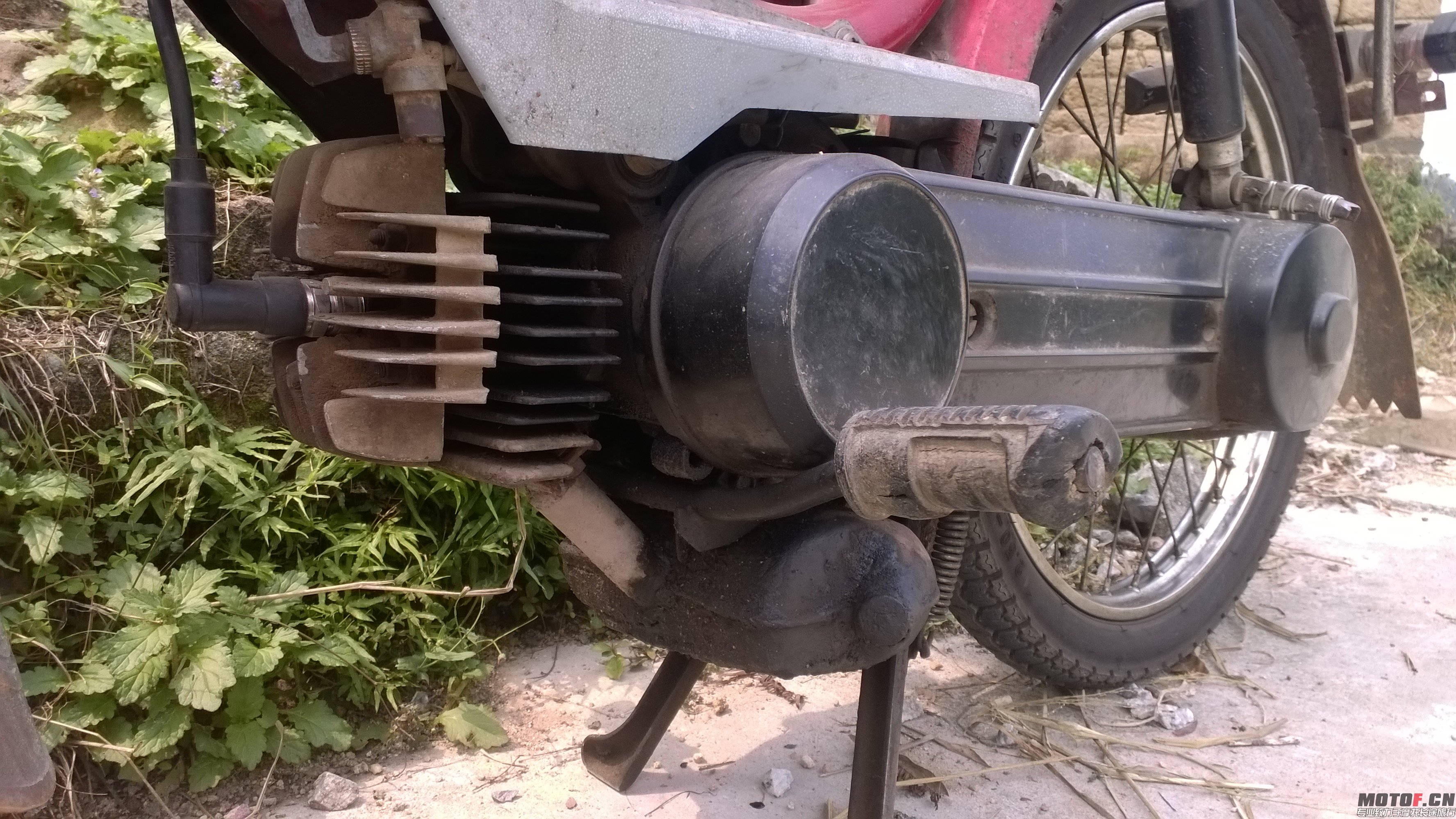 WP_20140405_007.jpg