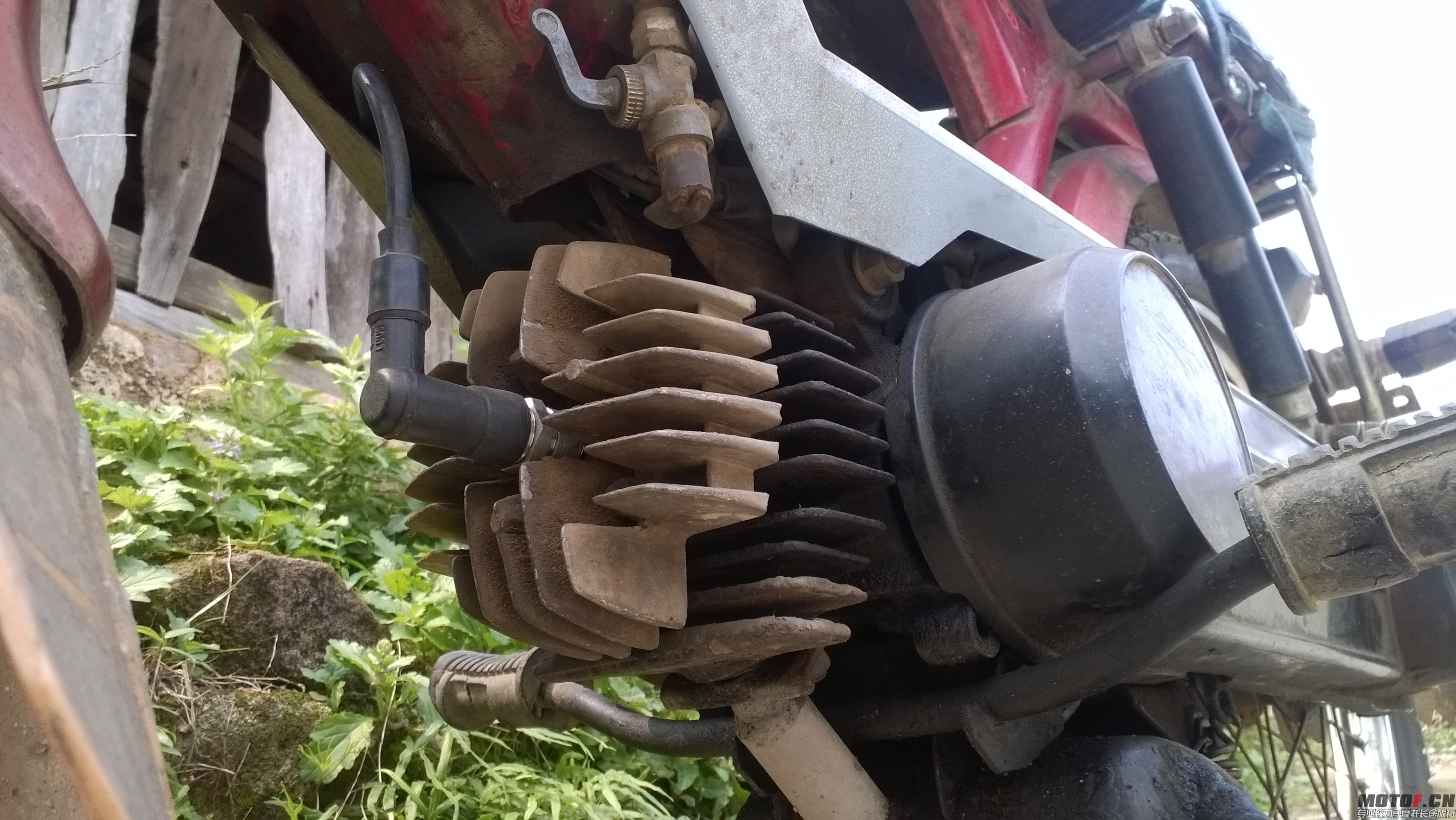 WP_20140405_009.jpg