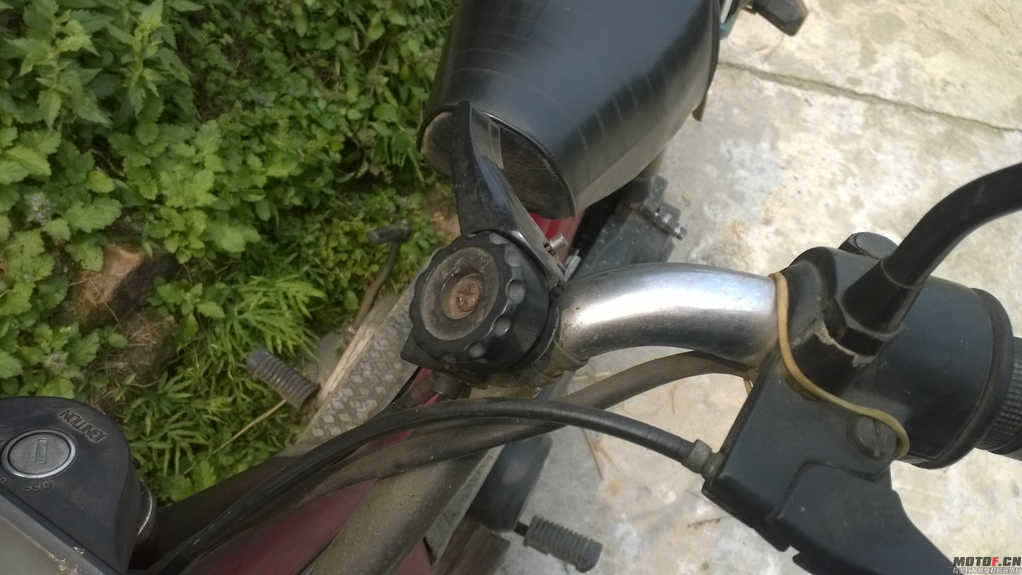 WP_20140405_017.jpg