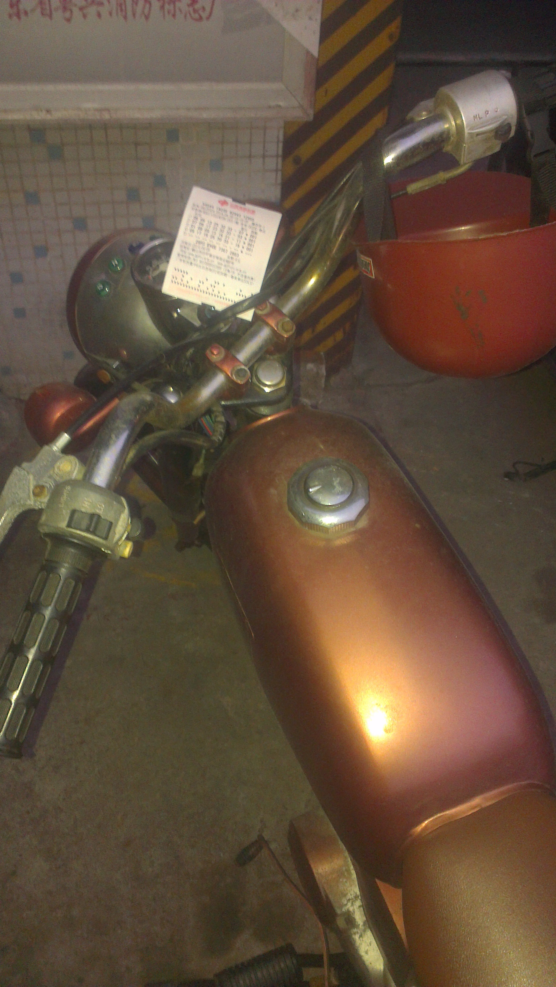 IMAG0270.jpg