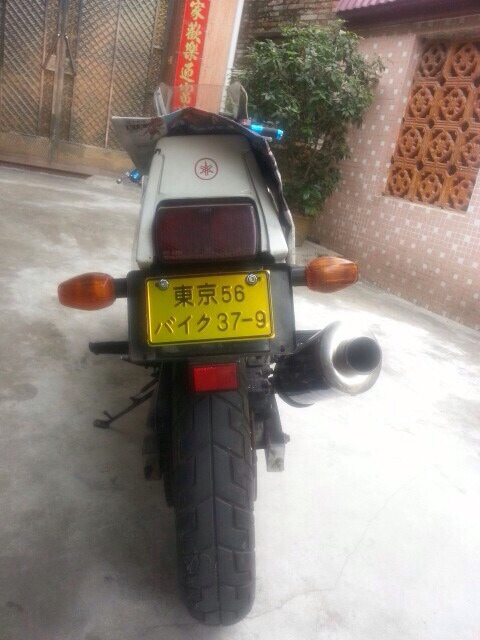 TIMG_418999576.40424.JPG