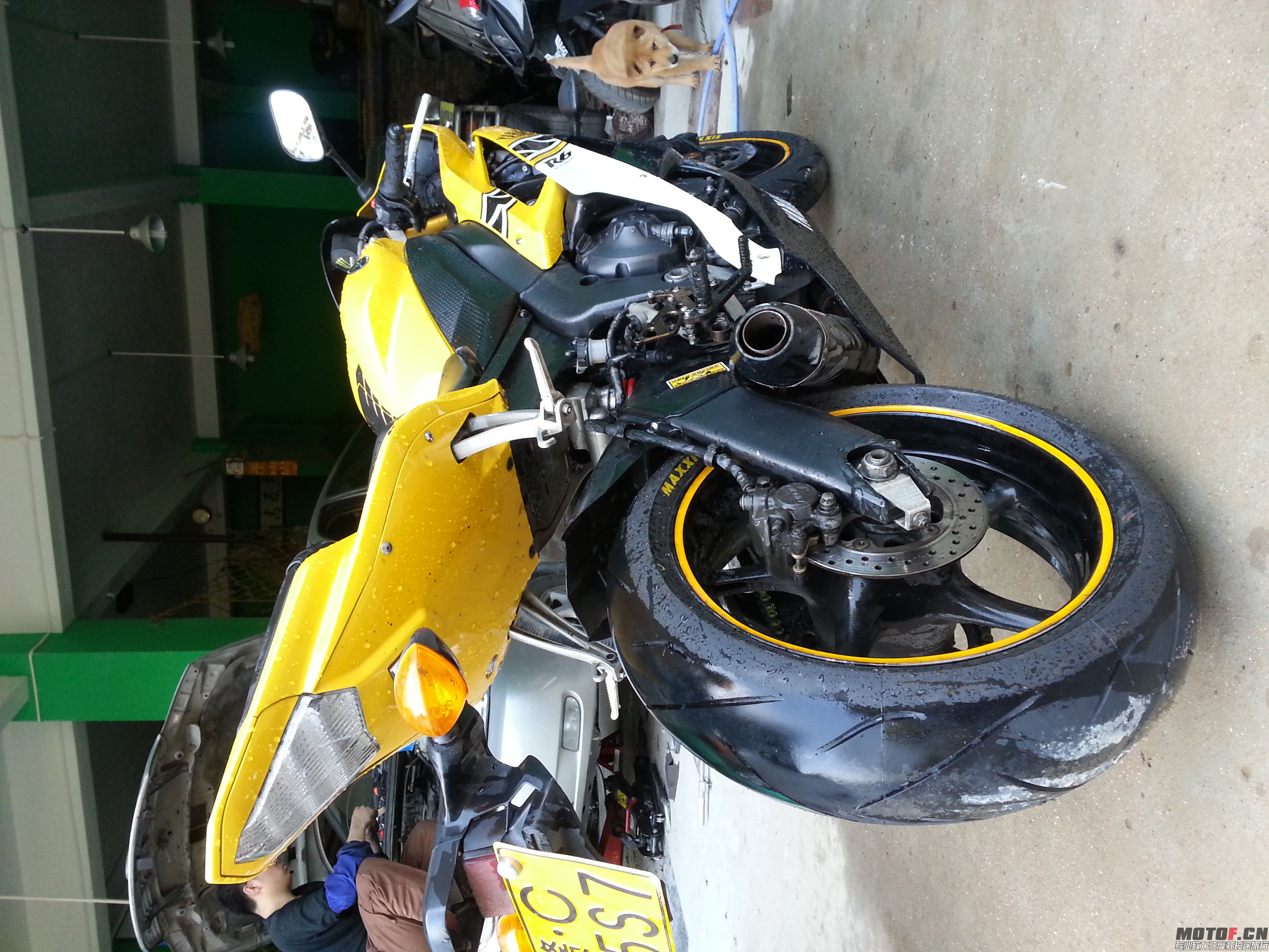 20140410_152928.jpg