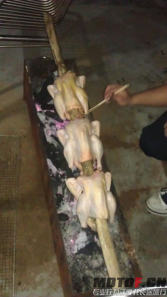 QQ图片20080101025530.jpg