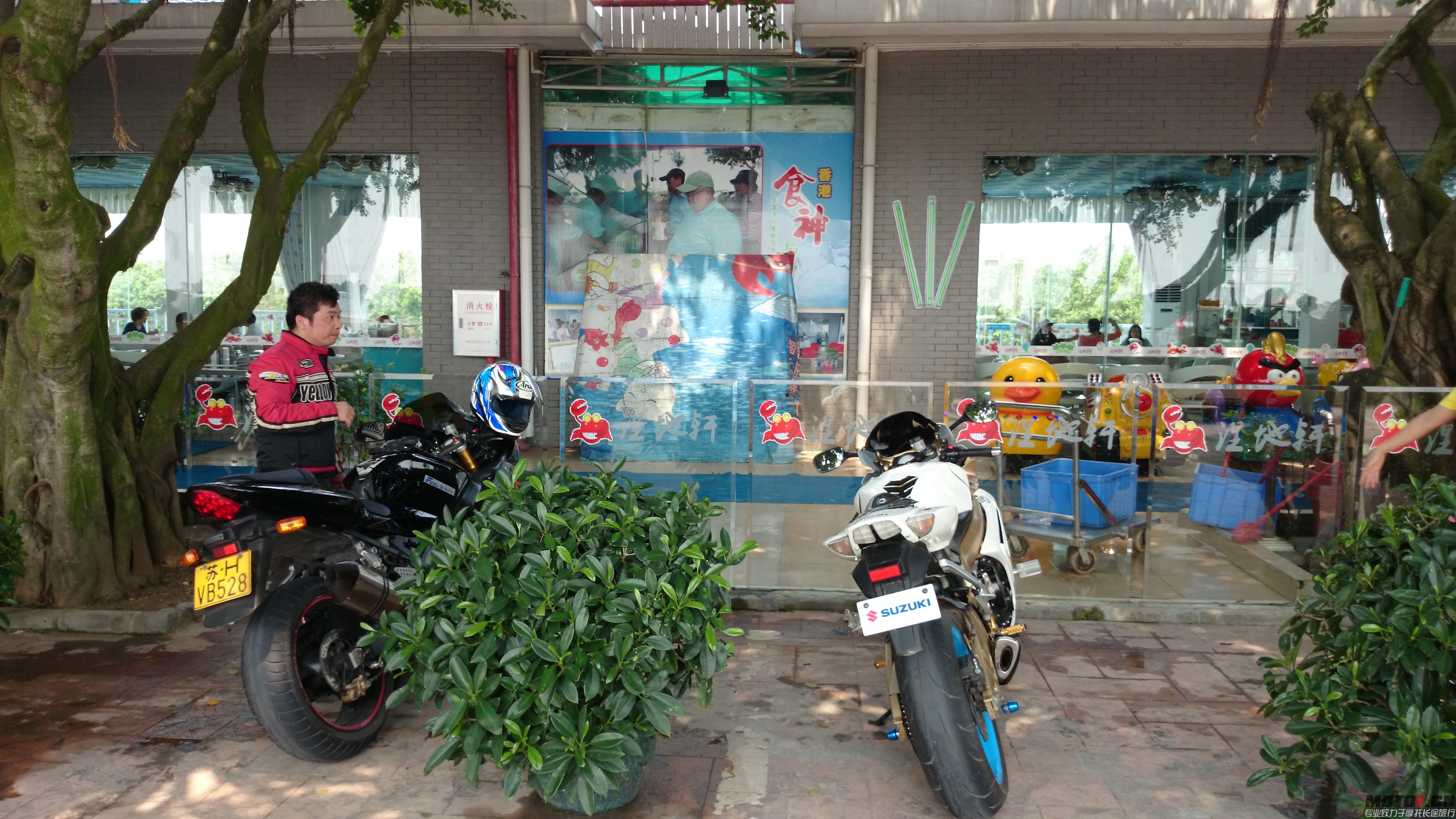 DSC_0206.JPG