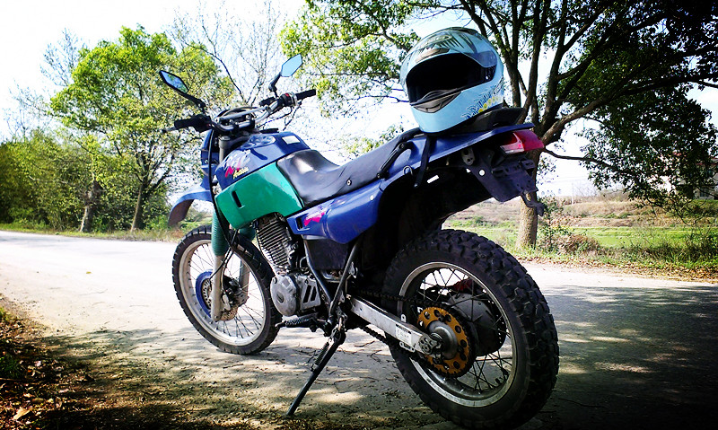 IMAG0062.jpg