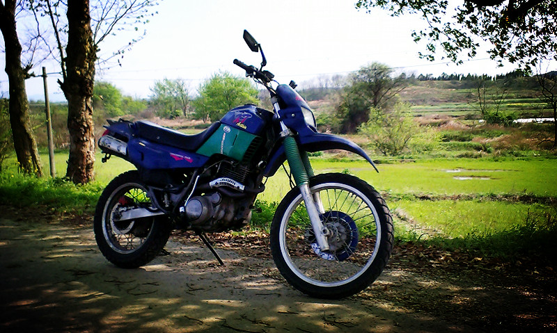 IMAG0056.jpg
