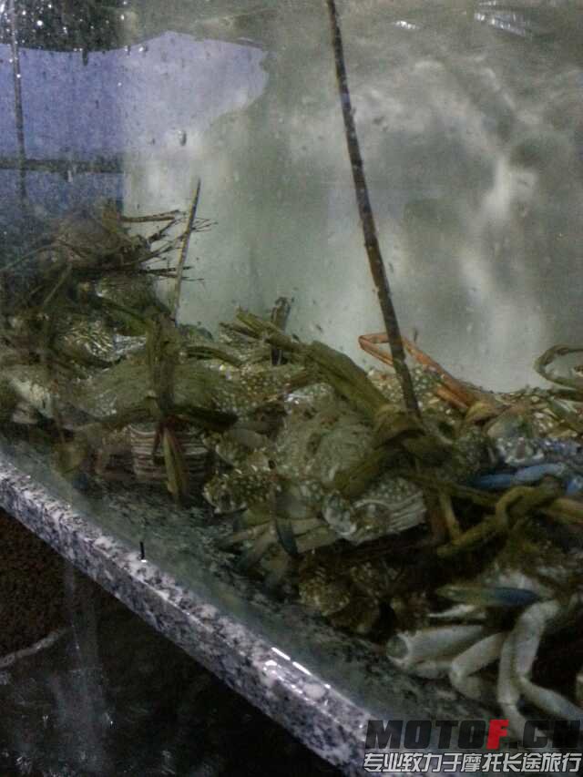 psbCARW1NHU.jpg