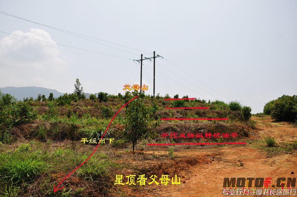 拍摄取材