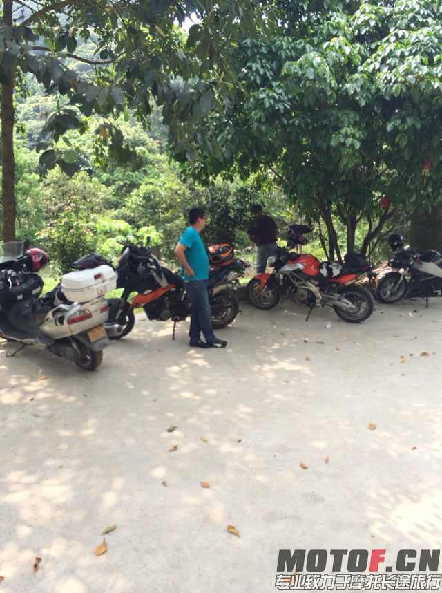 mmexport1397735022818.jpg