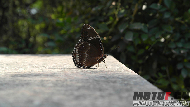 SAM_0321_副本.jpg