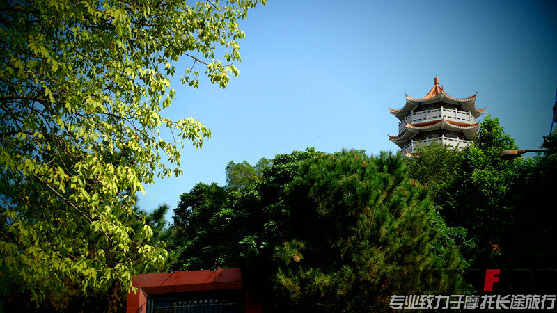 SAM_0532_副本.jpg