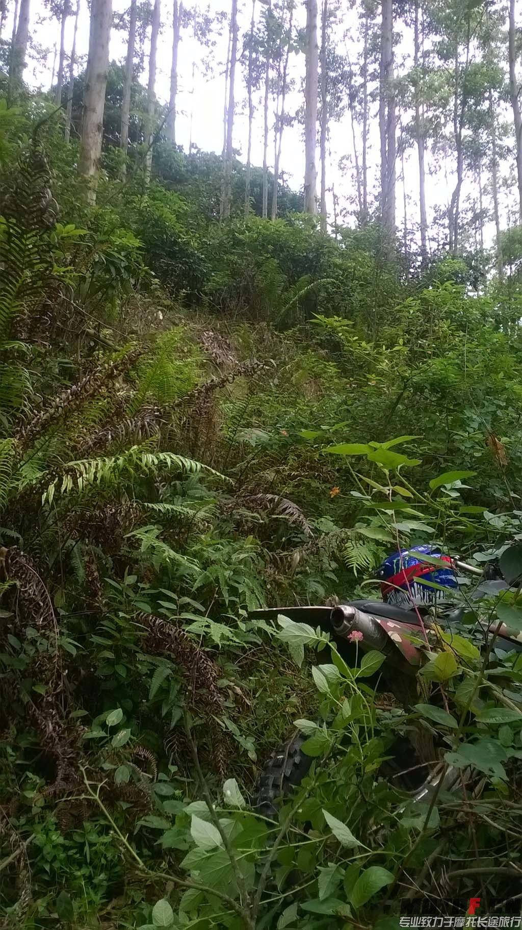 WP_20140420_010.jpg
