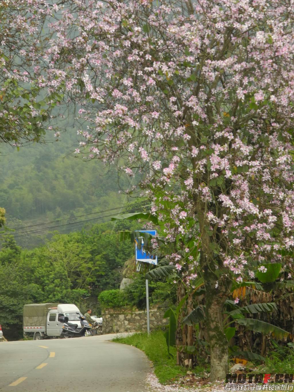 04.JPG