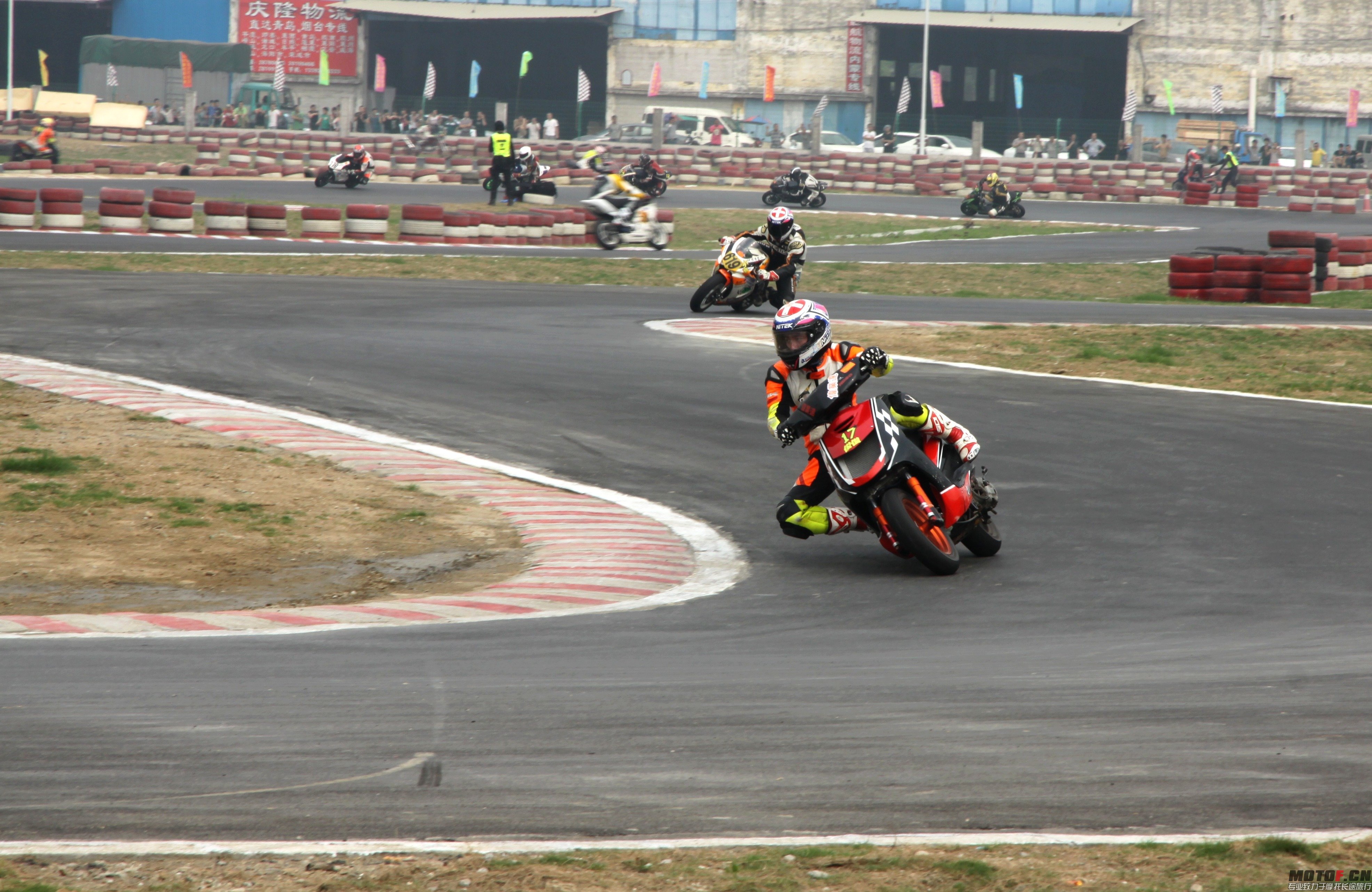 IMG_9845.jpg