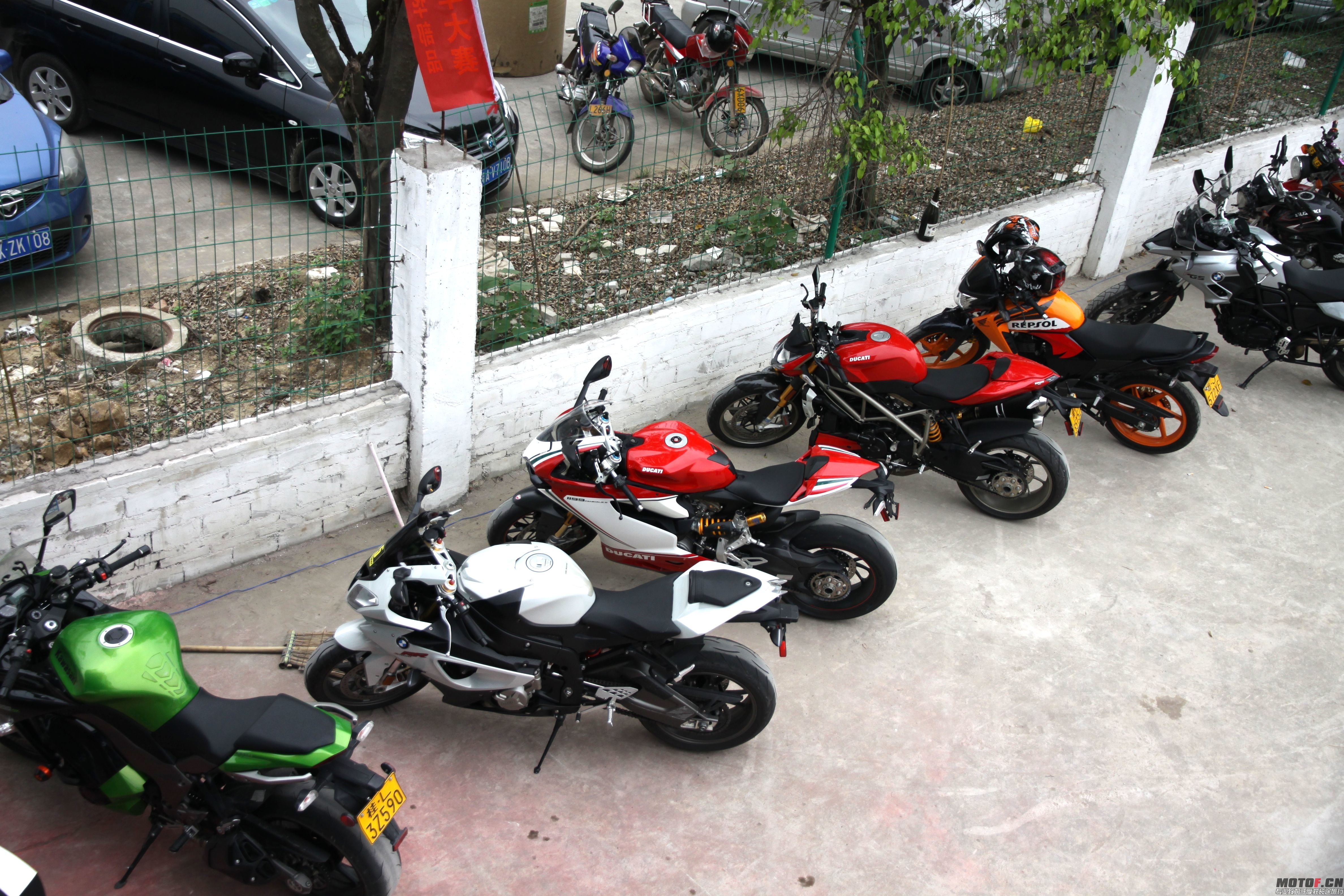 IMG_9535.jpg