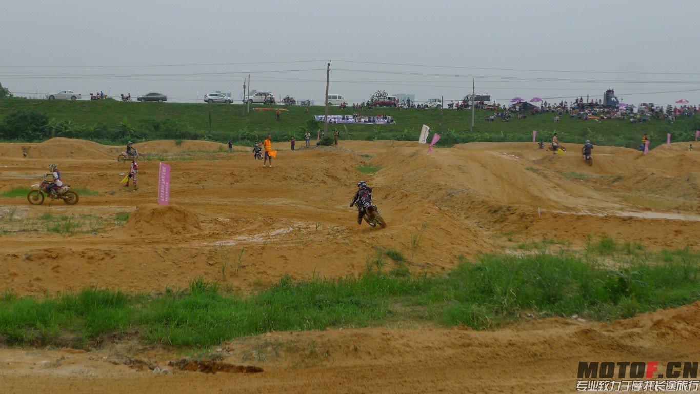 P1100872 (Medium).JPG