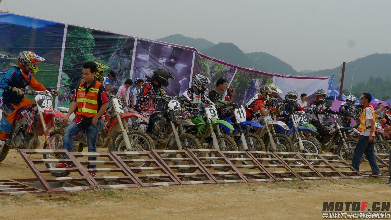 P1100773 (Medium).JPG