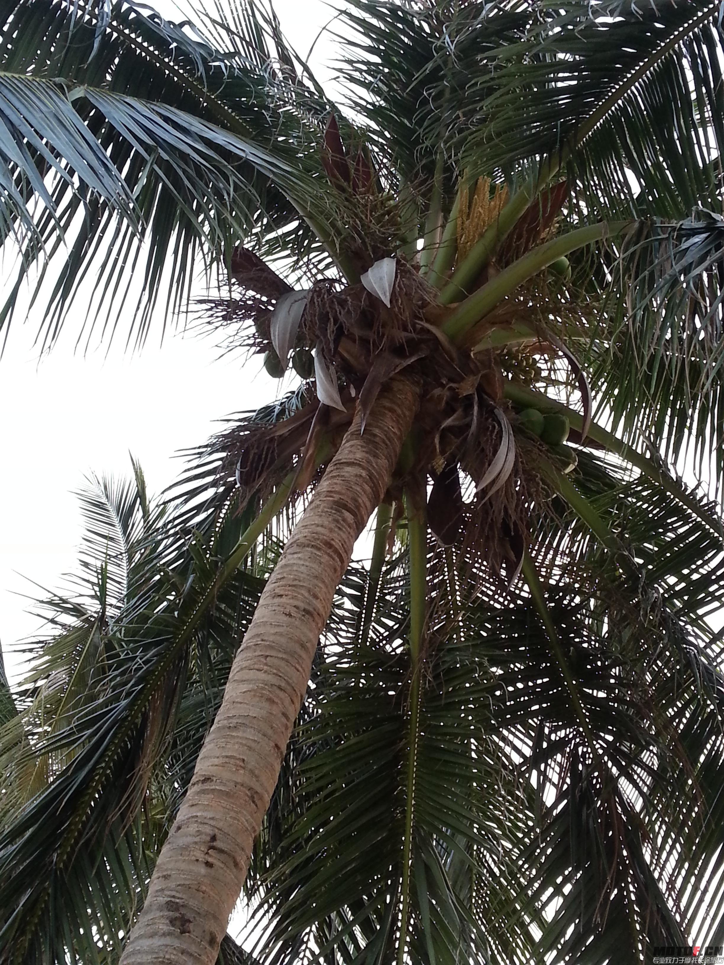 20140412_183802.jpg