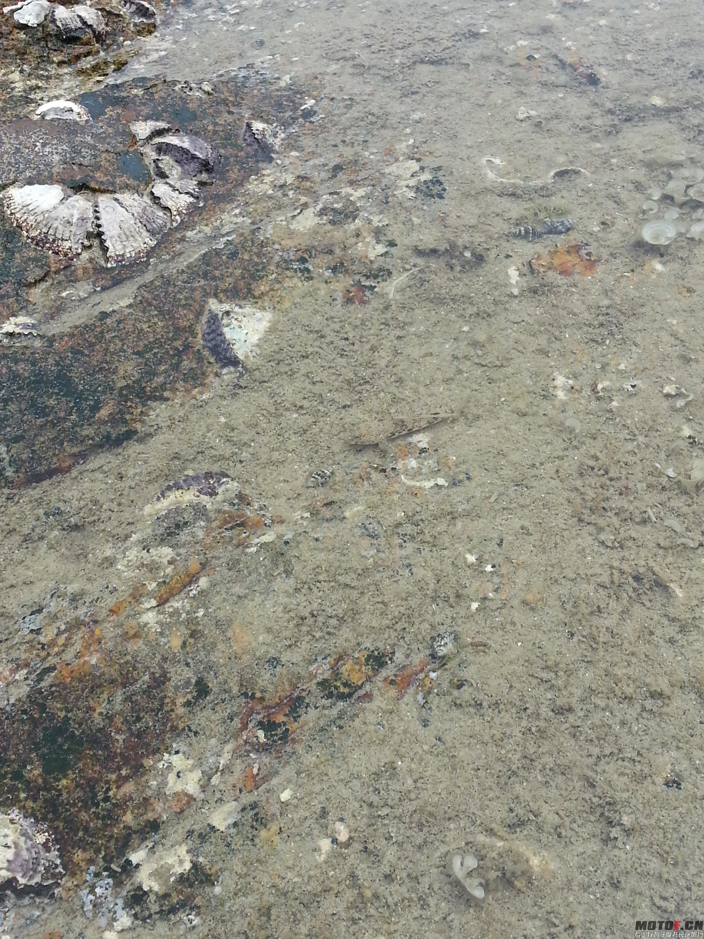 20140413_134148.jpg