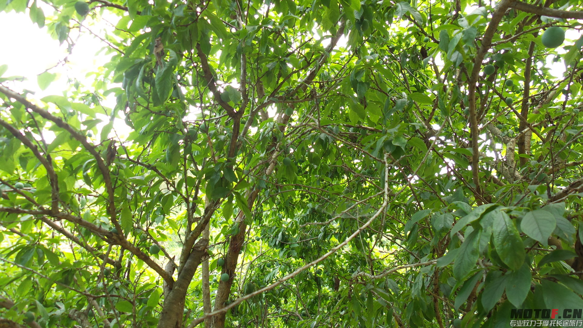 20140429_134816.jpg