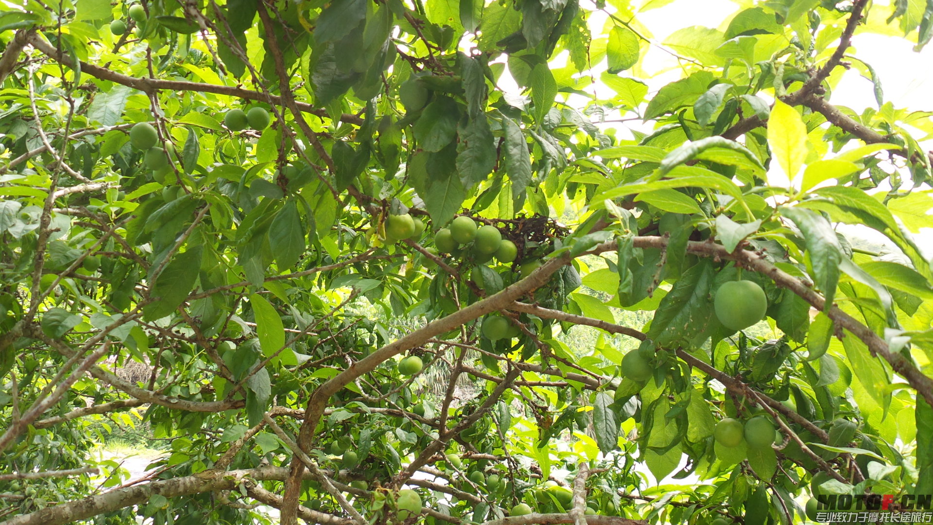 20140429_134844.jpg