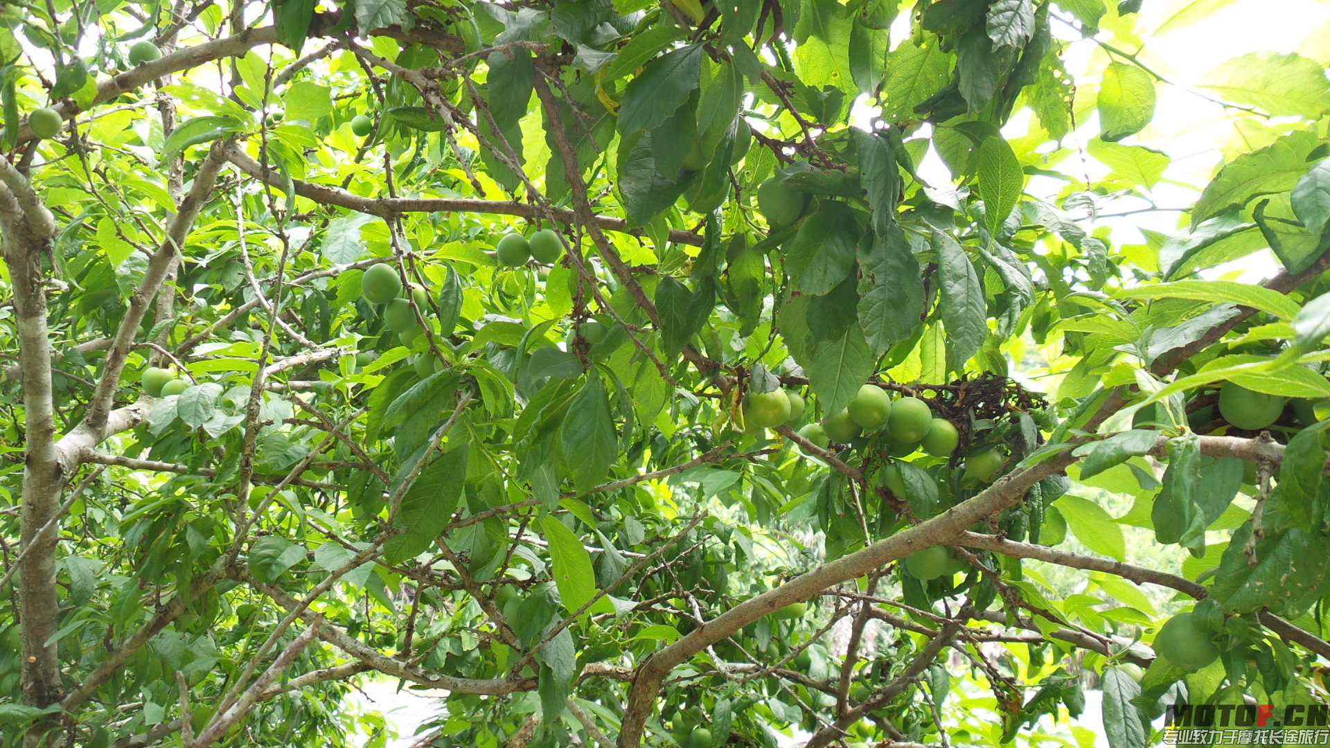 20140429_134850.jpg