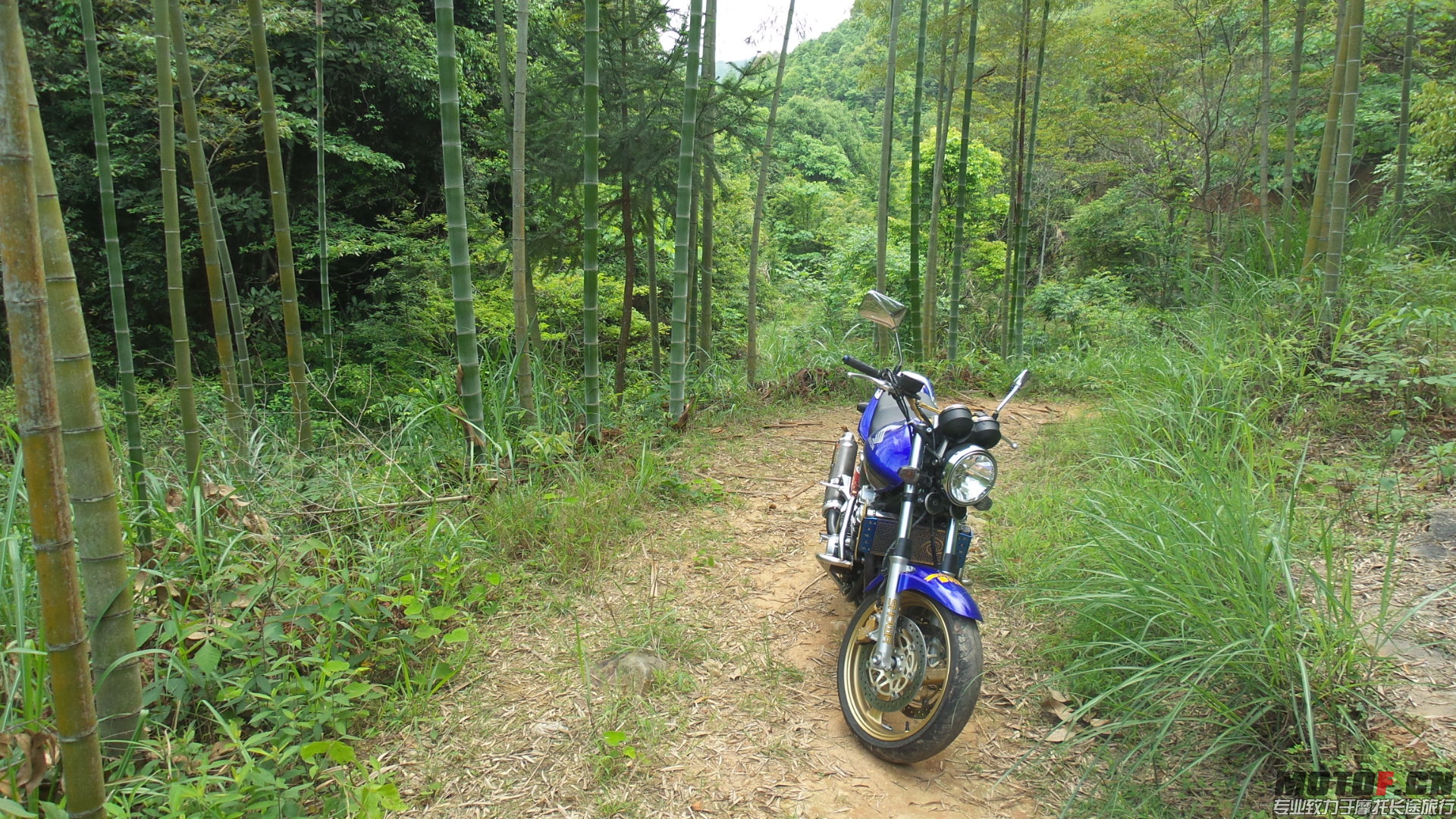 20140429_140322.jpg