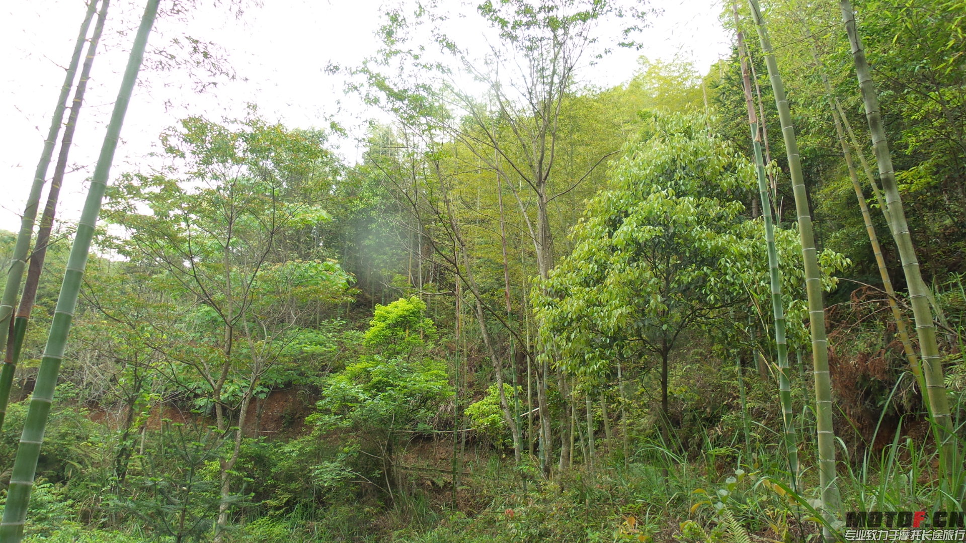 20140429_143000.jpg