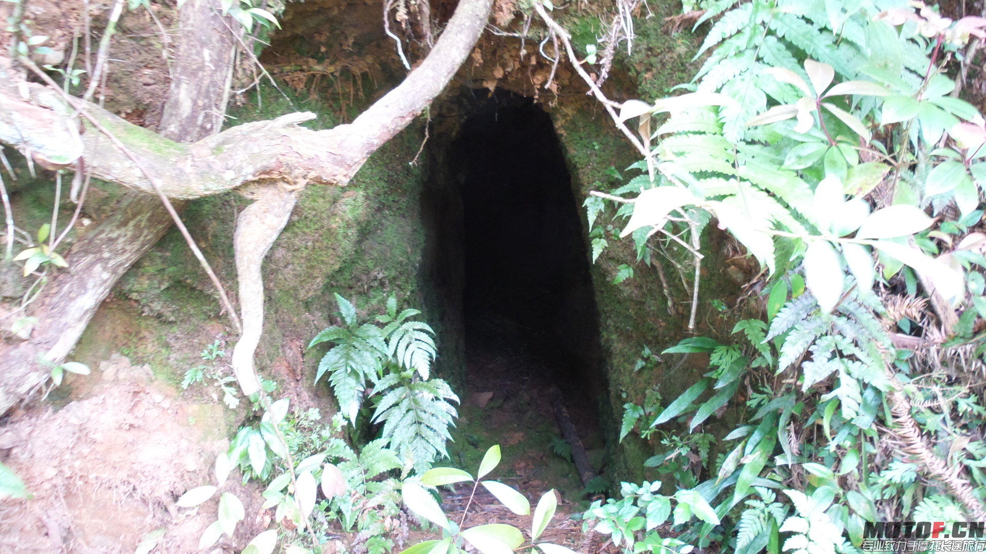 20140429_144451.jpg