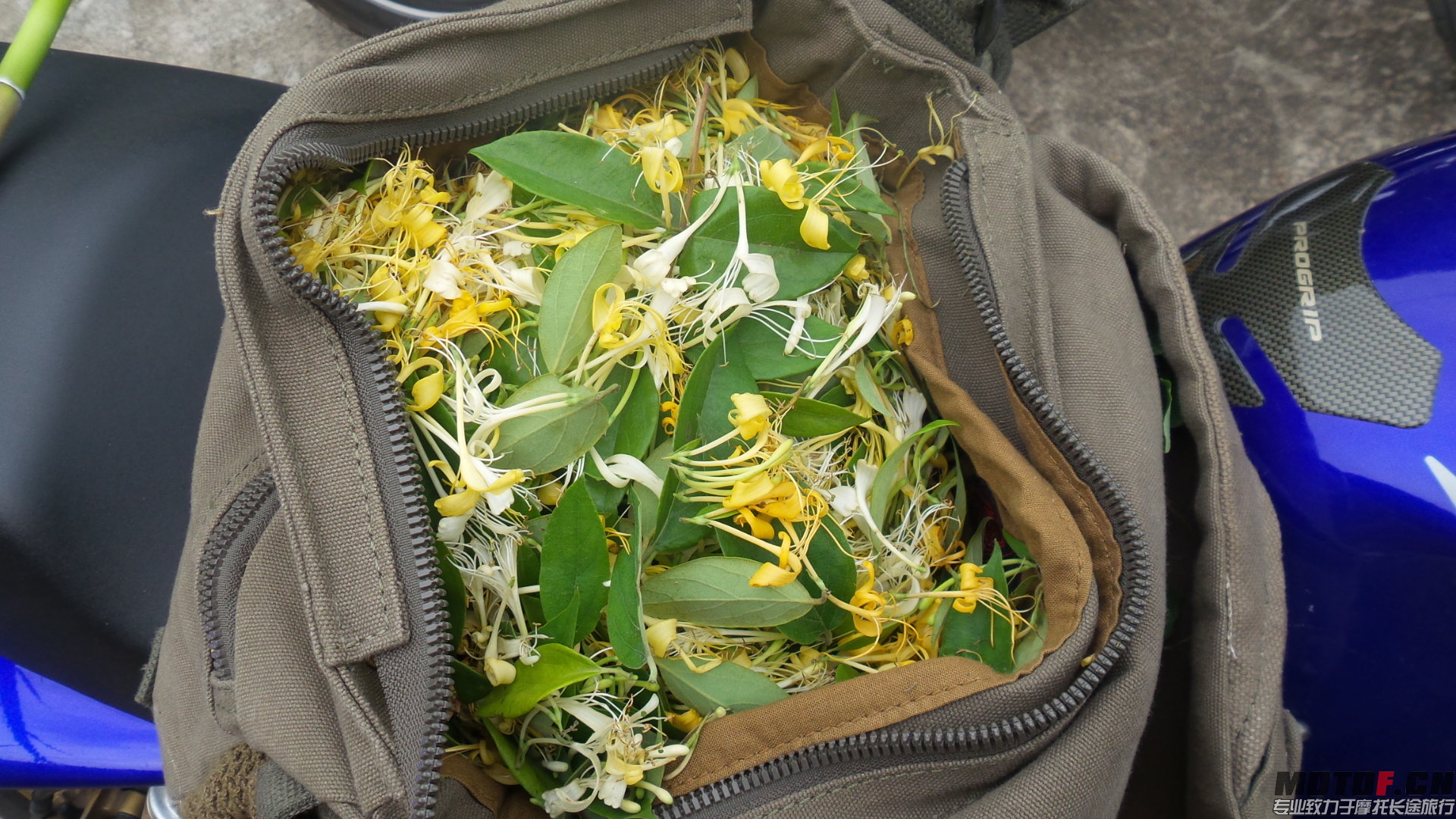 20140429_153036.jpg