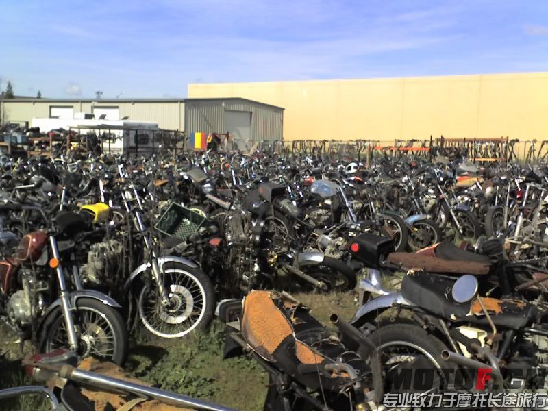 salvage_yard.jpg