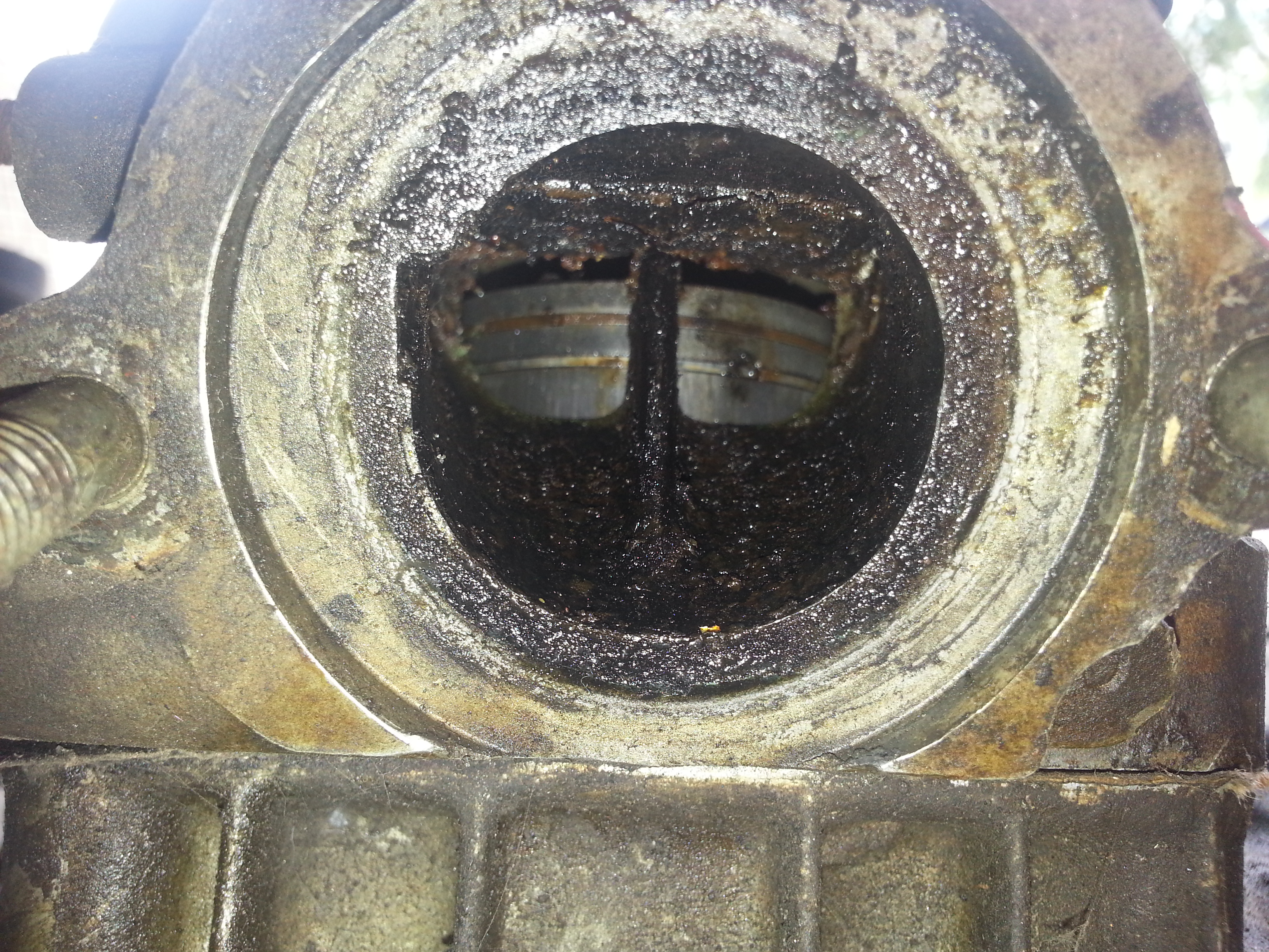 20140502_104421.jpg