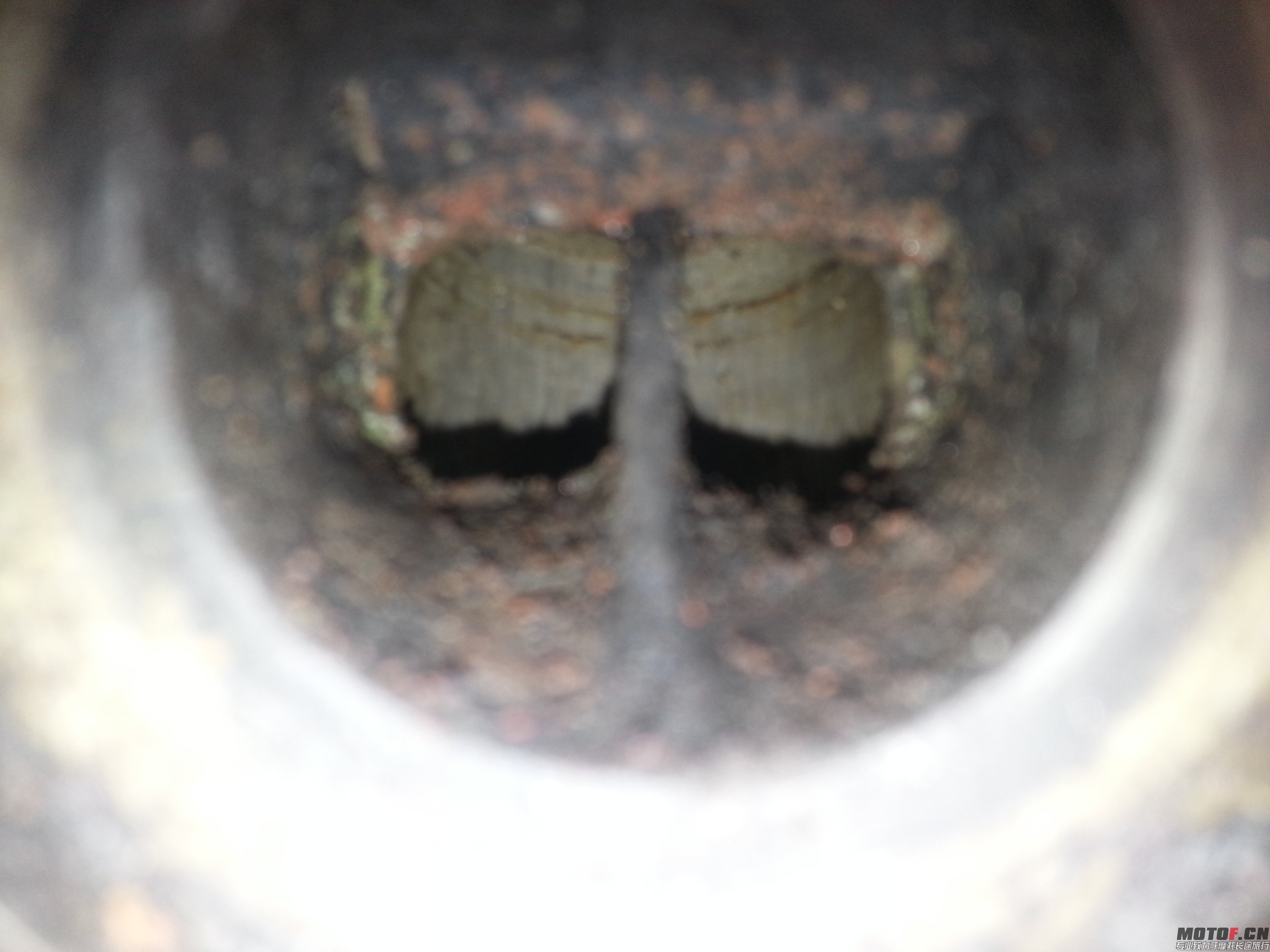 20140502_104340.jpg