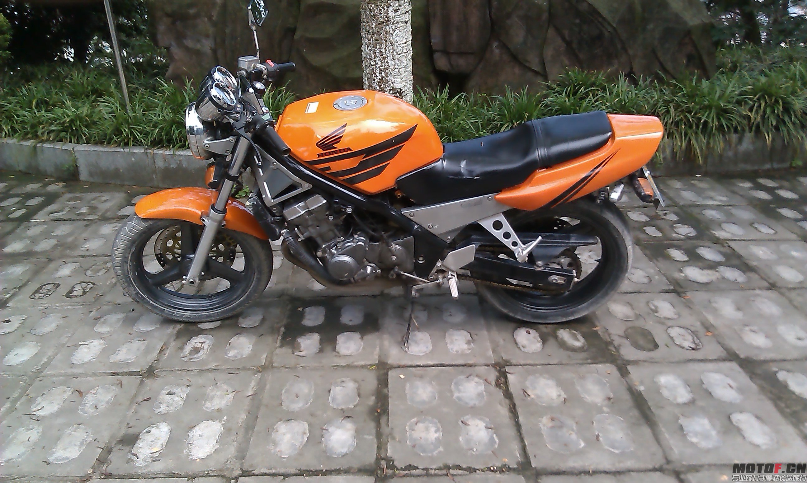 IMAG0880.jpg