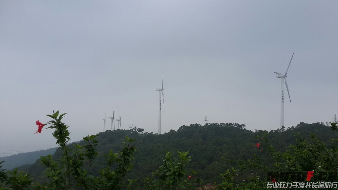 QQ图片20140505201849.jpg