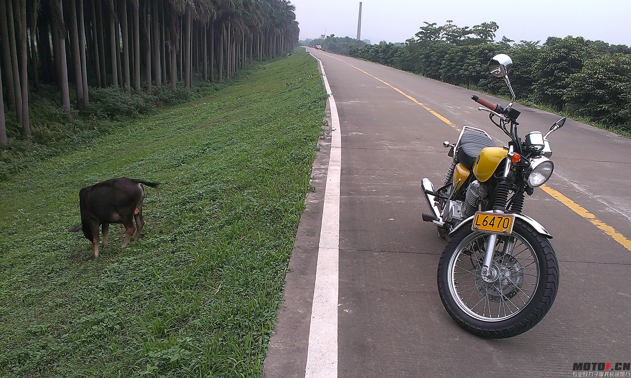 IMAG1147.jpg
