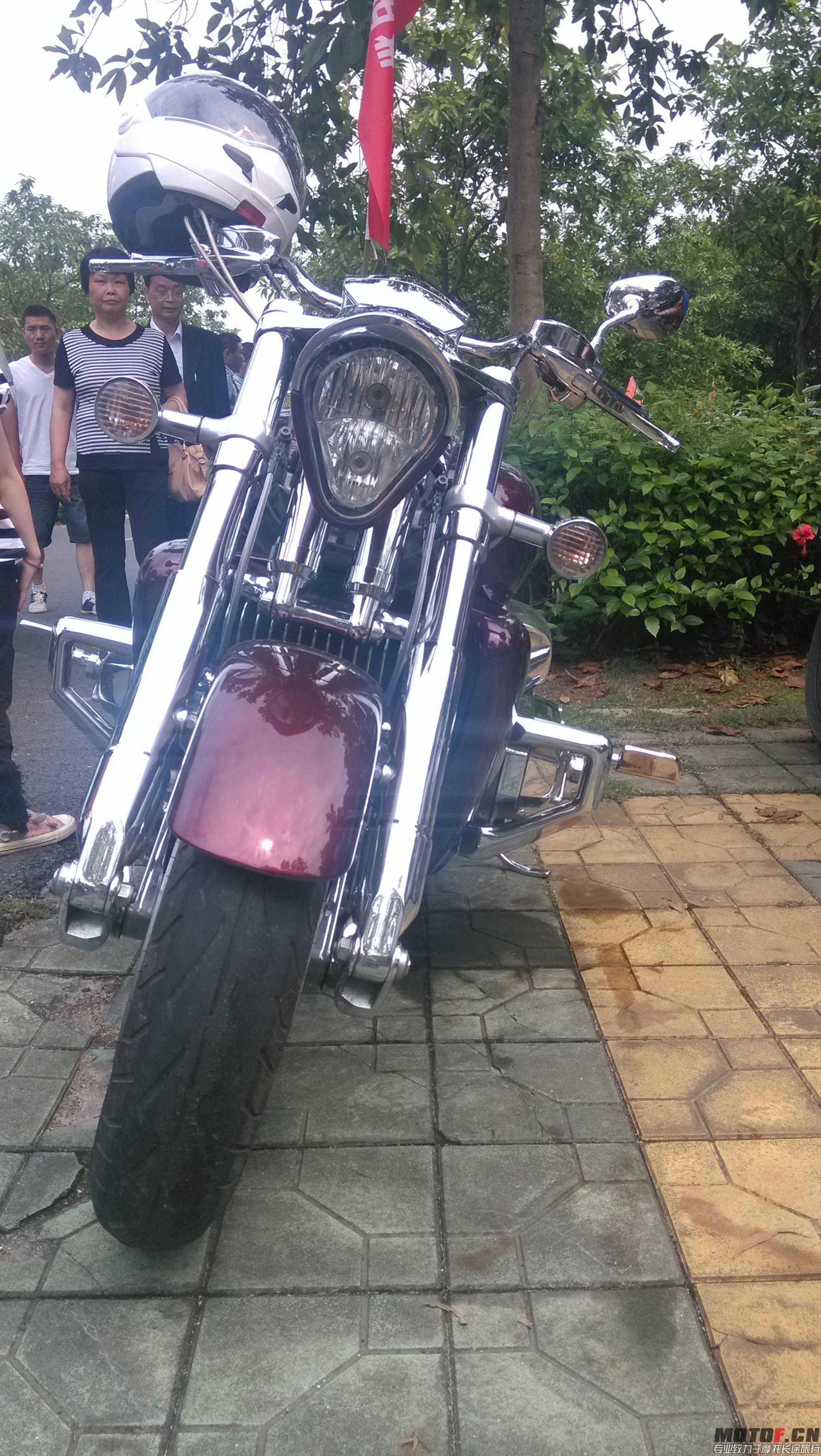 IMG_20140502_144411.jpg