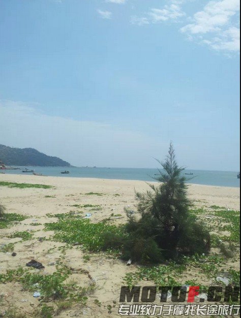 QQ图片20140507093725.jpg