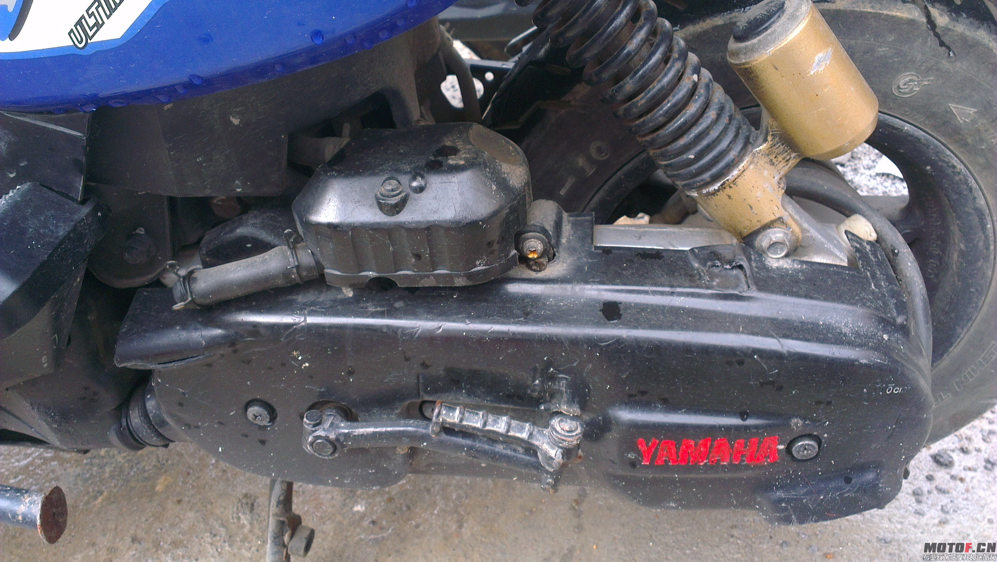 IMAG0044.jpg