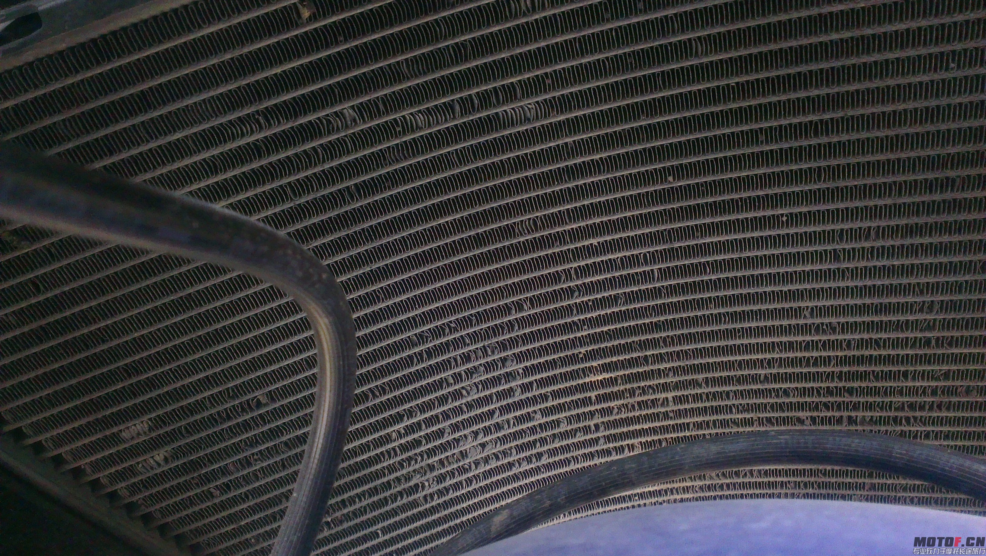 IMAG0047.jpg