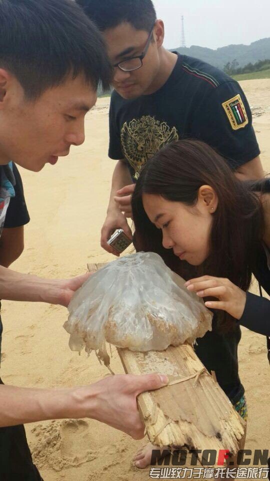 QQ图片20140513215605.jpg