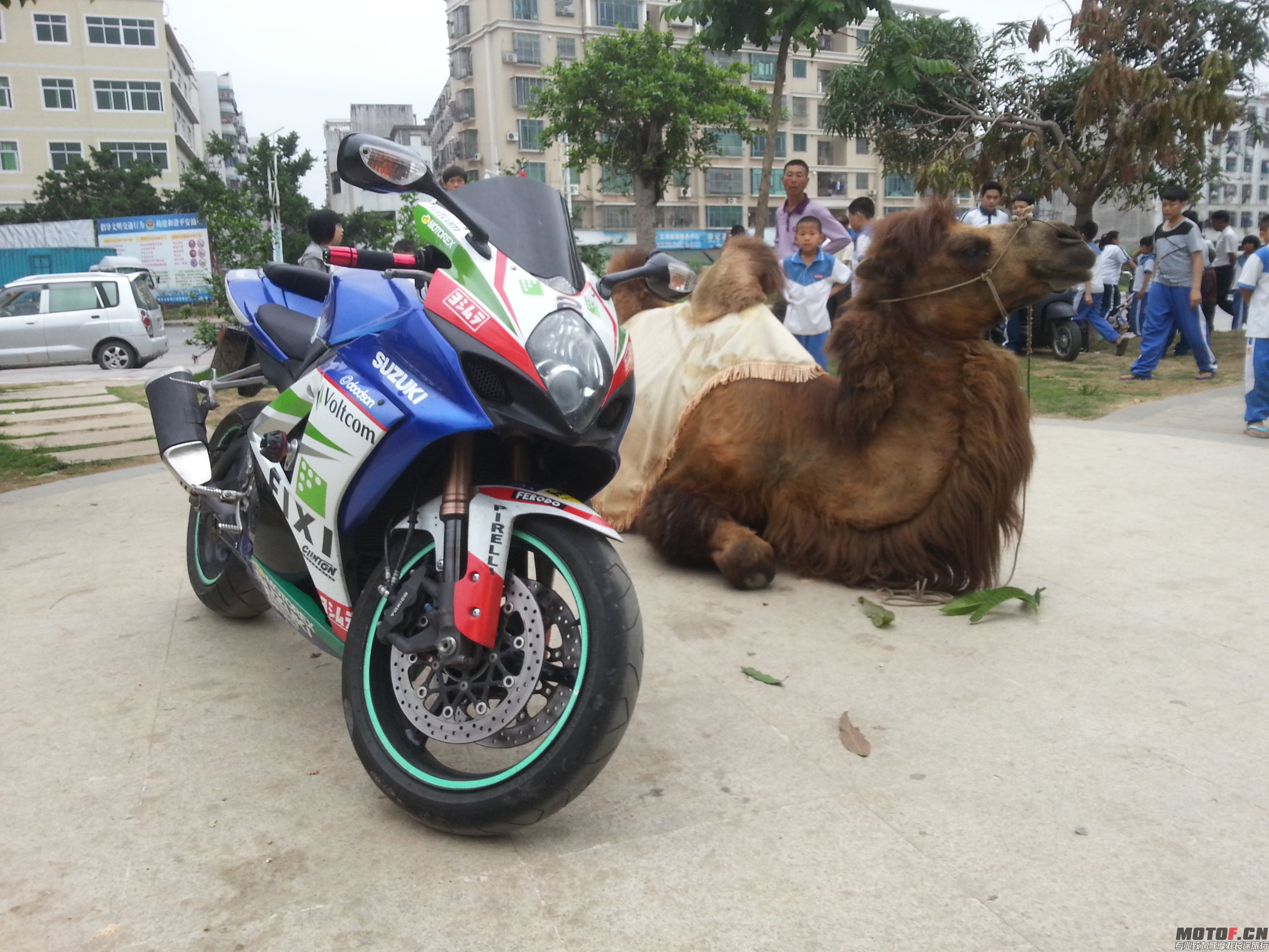 20140425_165812.jpg