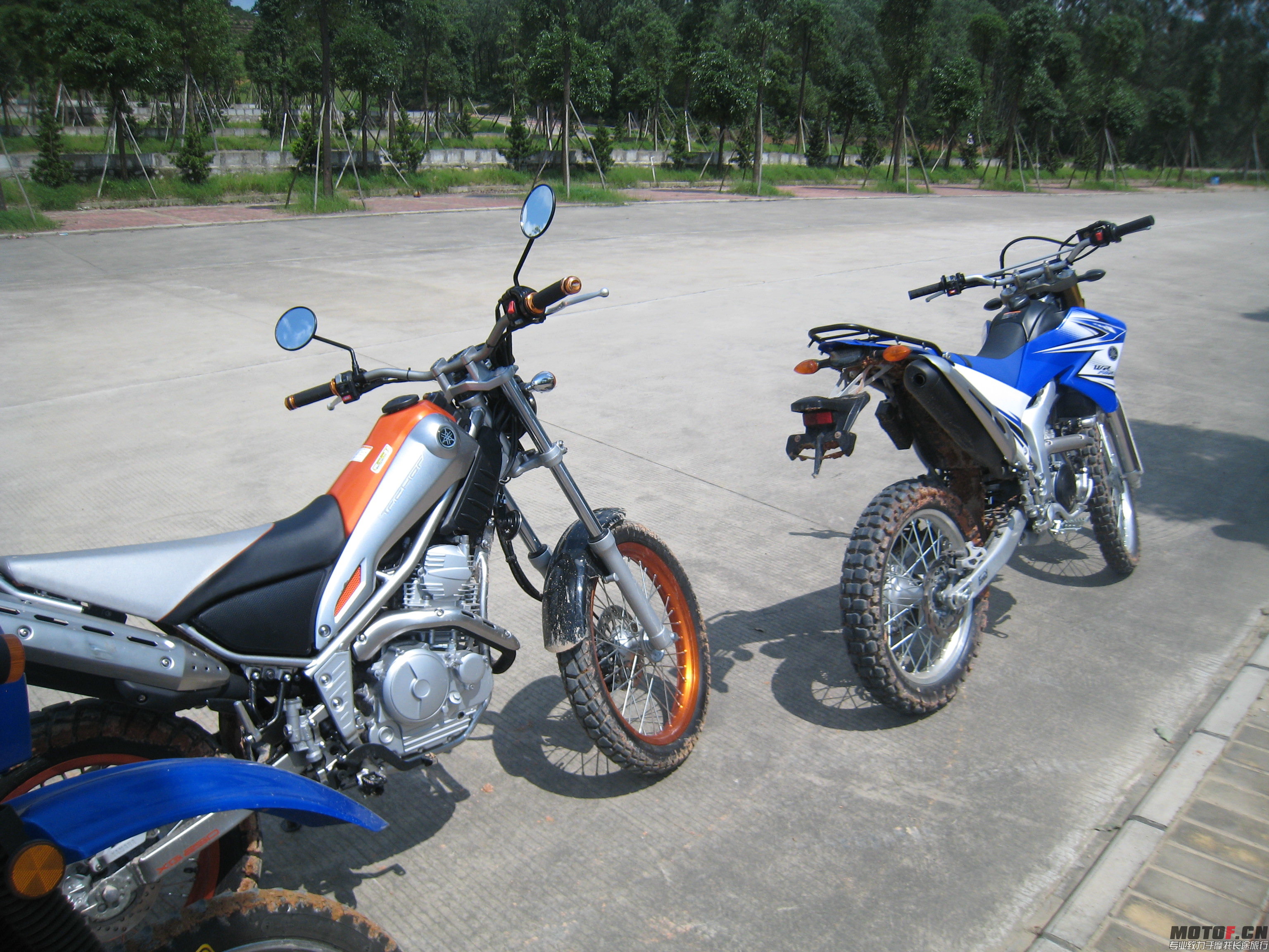 2014年5月13日试爬鸡 013.jpg