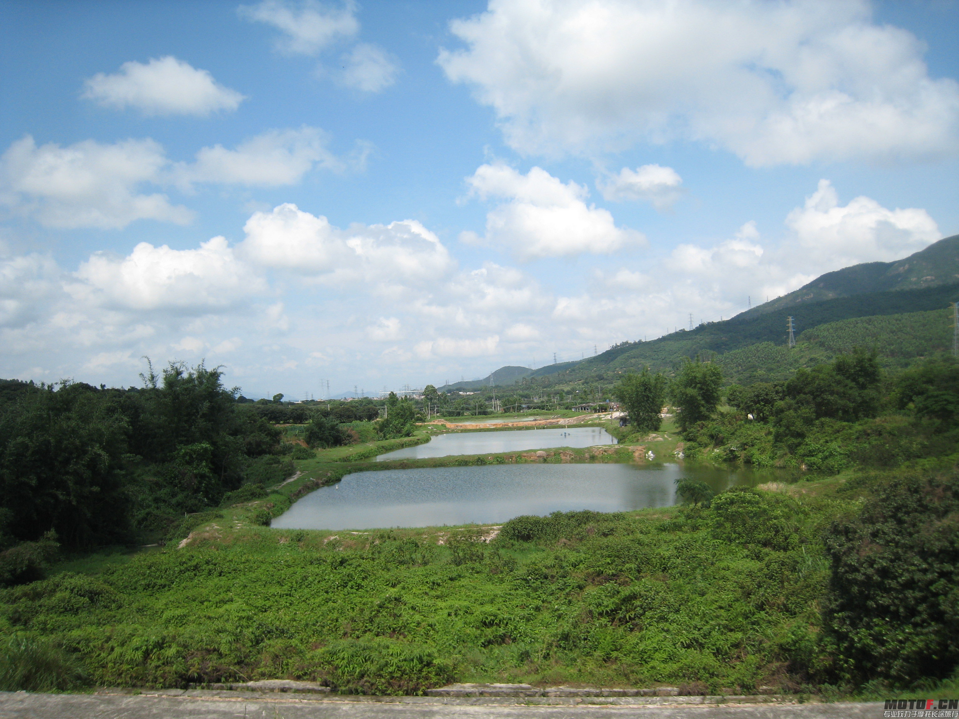 2014年5月13日试爬鸡 016.jpg