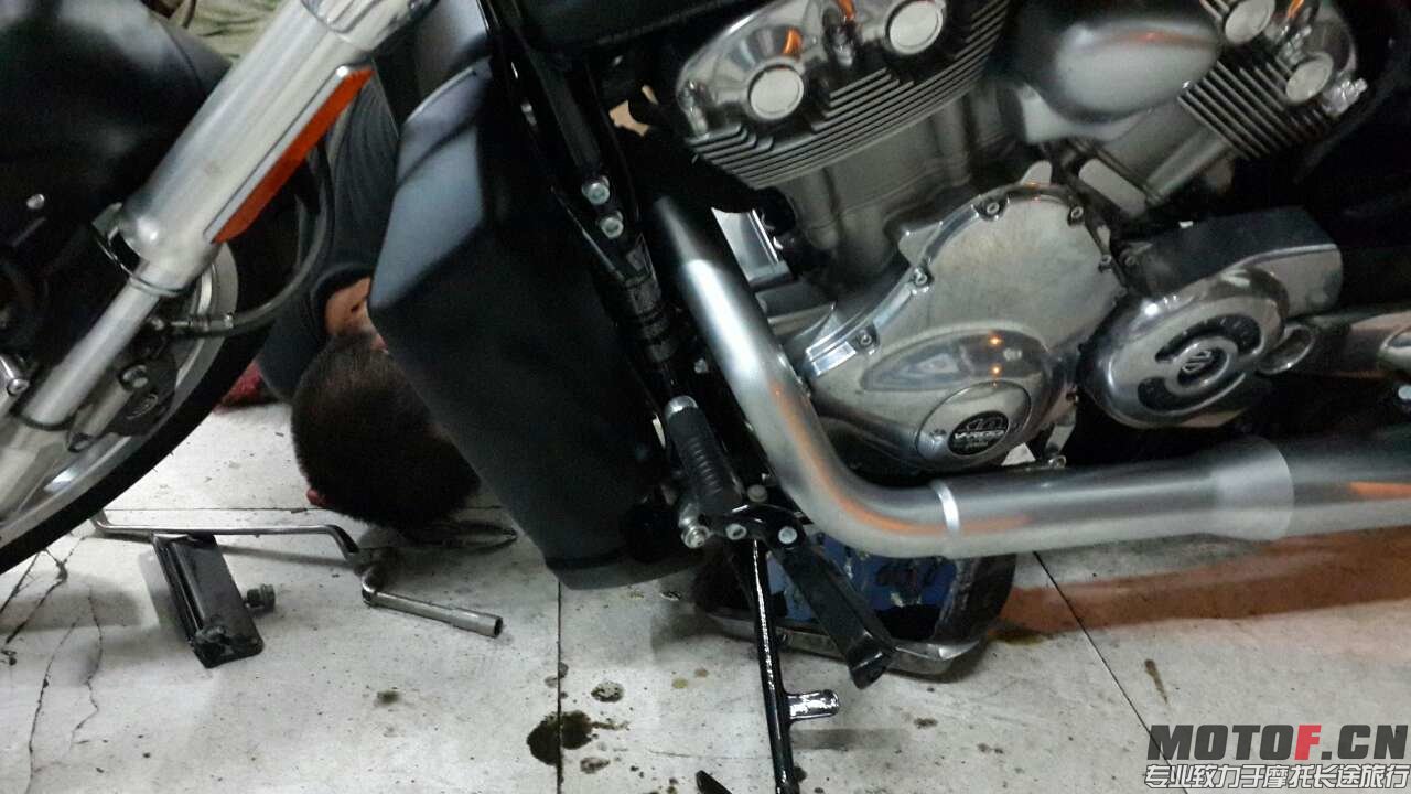 mmexport1401094852964.jpg