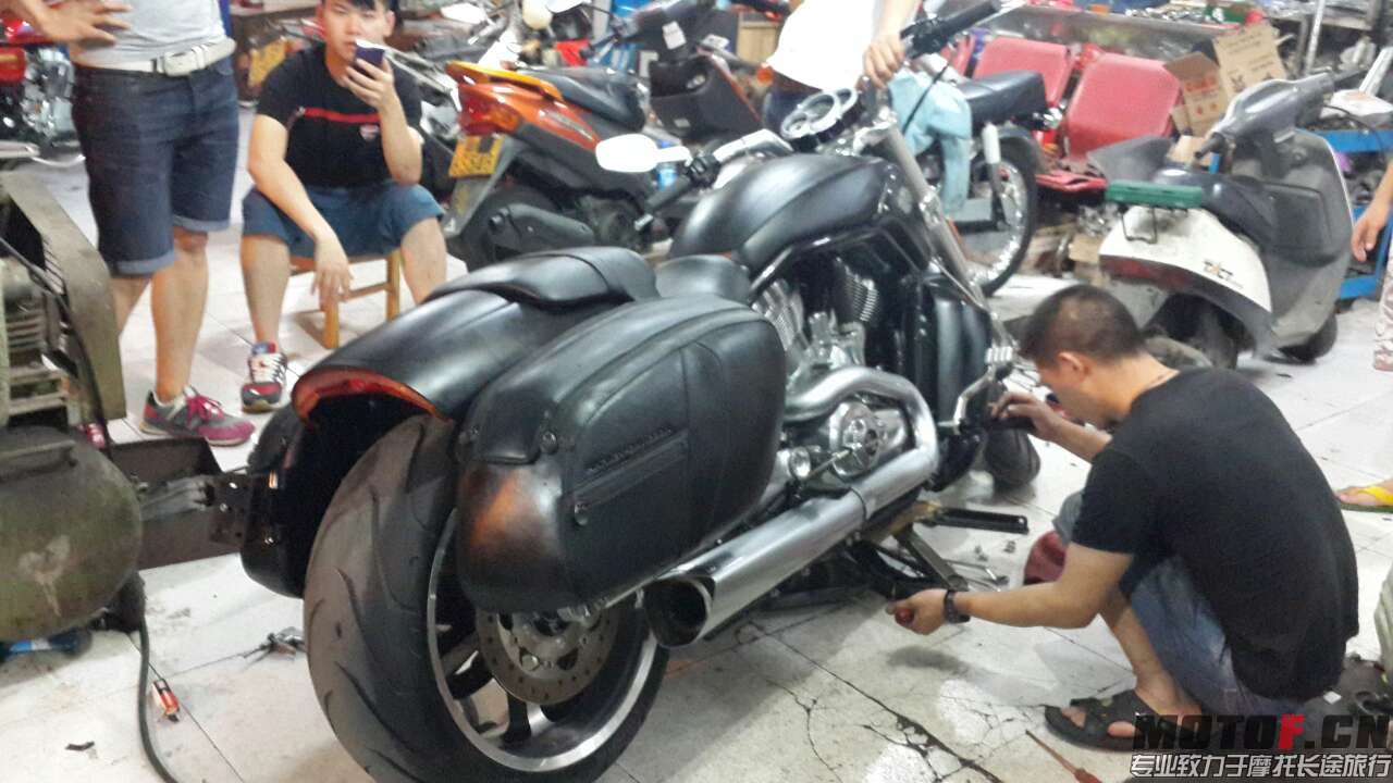 mmexport1401094838972.jpg