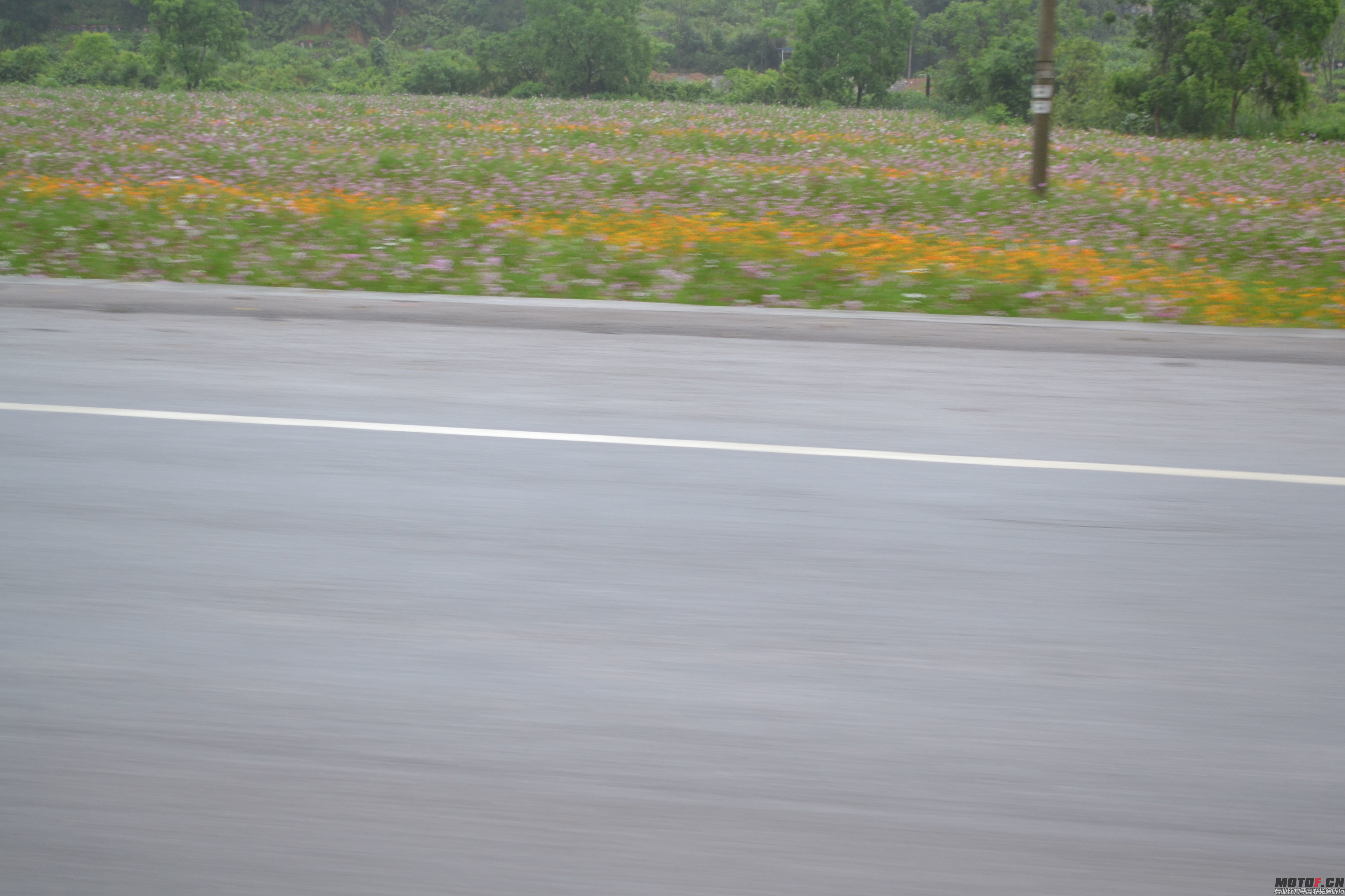 DSC_0667.jpg