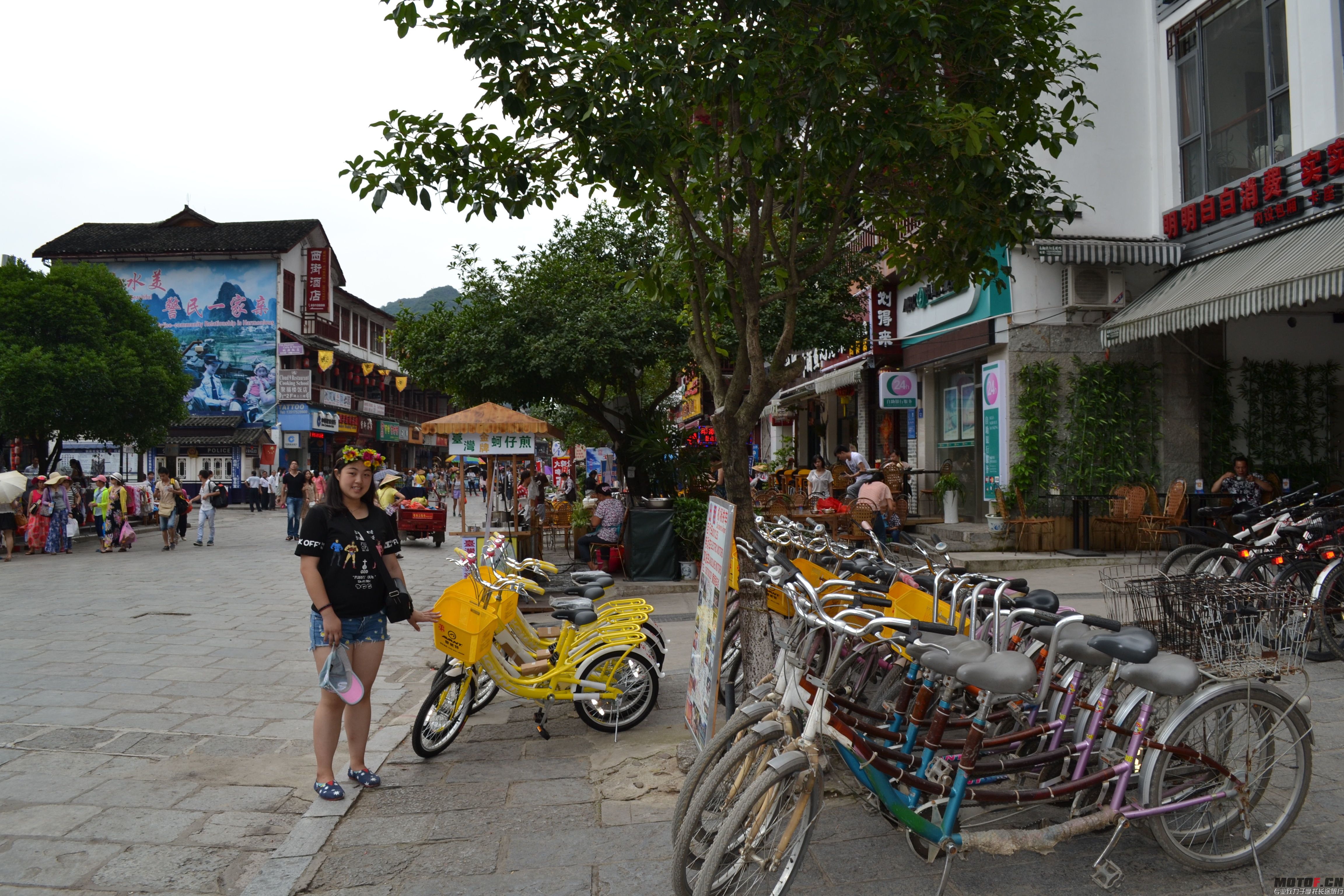 DSC_0364.jpg